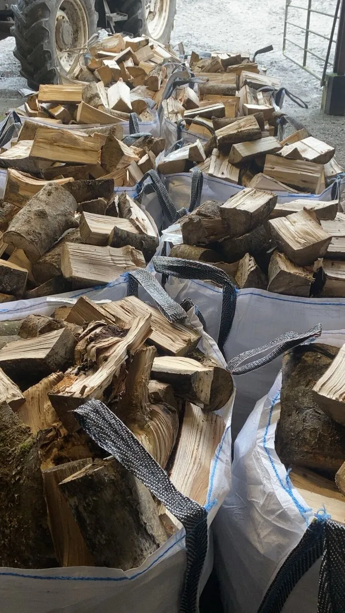 Firewood - Image 2