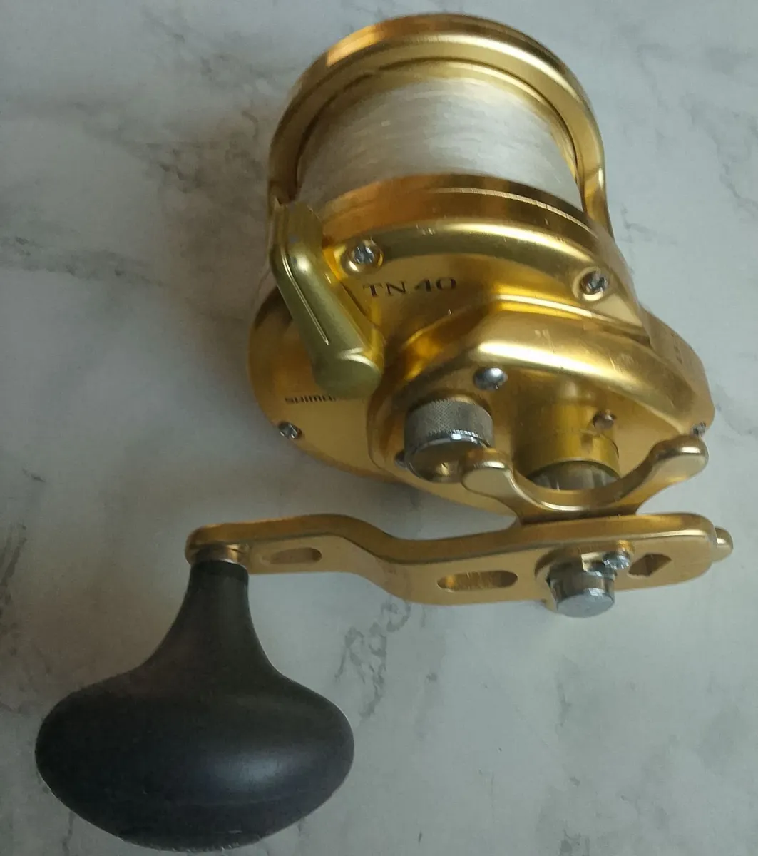 Fishing Shimano Trinidad TN 40 - Image 1