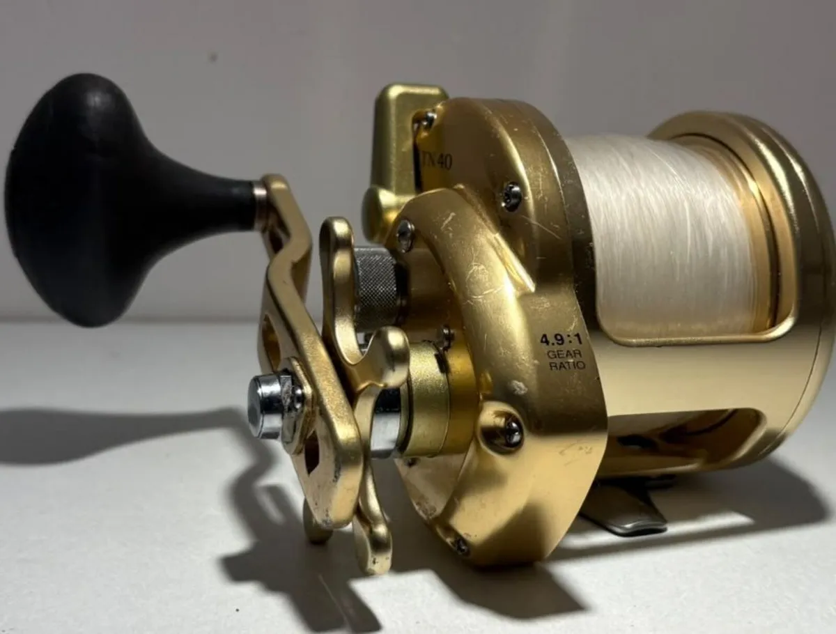 Fishing Shimano Trinidad TN 40 - Image 2