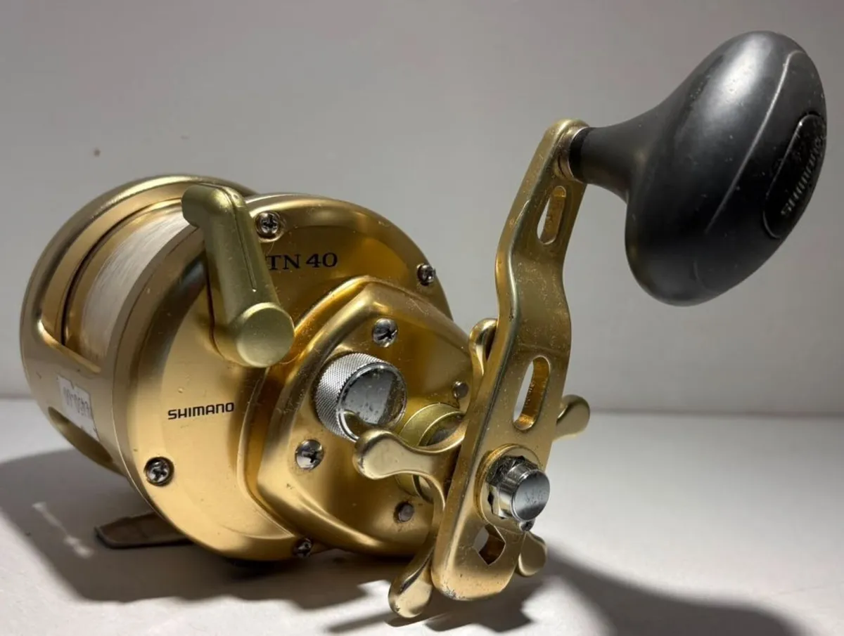 Fishing Shimano Trinidad TN 40 - Image 3