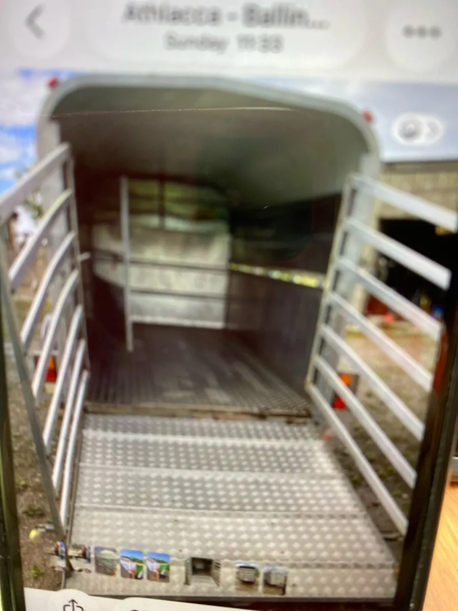 Cattle box - Image 4