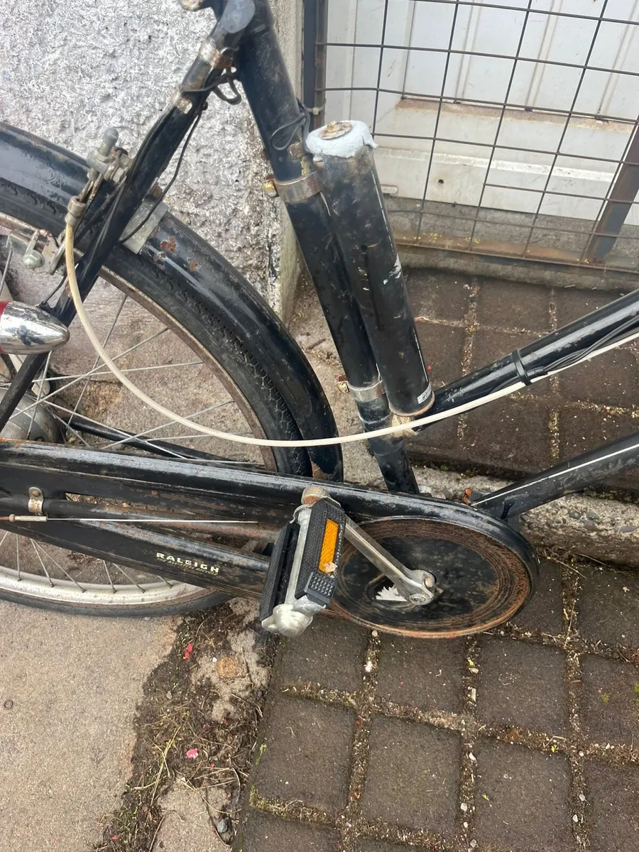 High nelly bike - Image 2