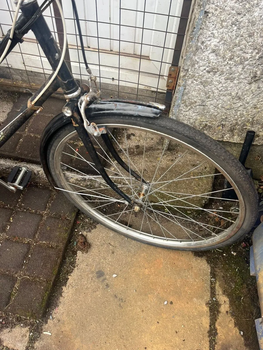 High nelly bike - Image 4