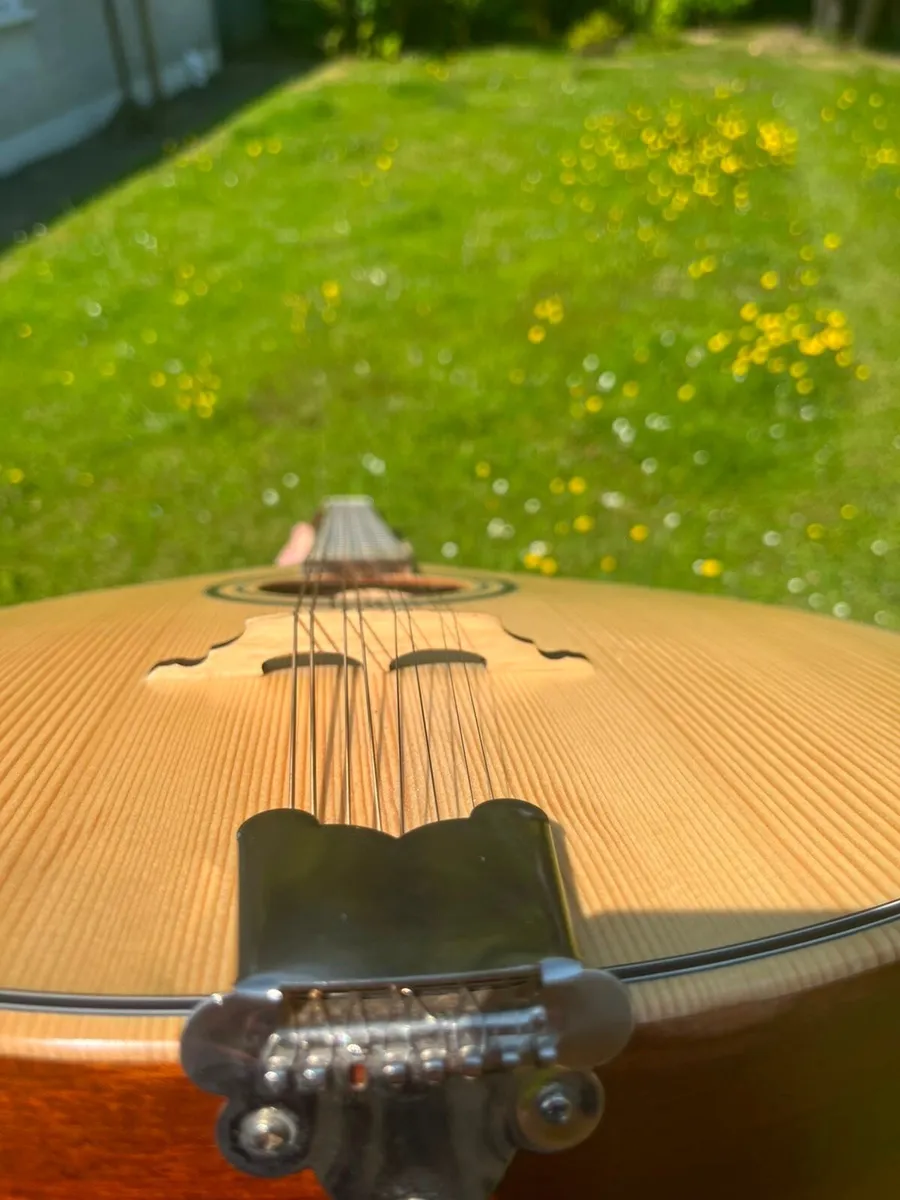 Bouzouki - Image 4