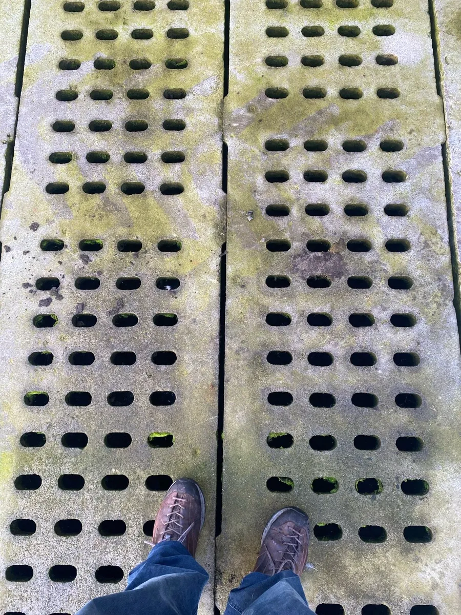 Concrete cattle slats - Image 1