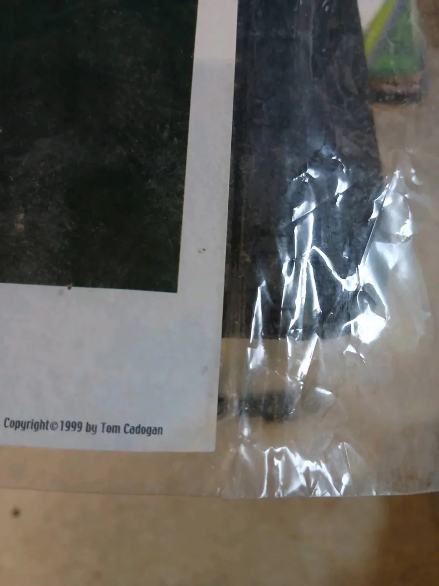 Photo - Image 2