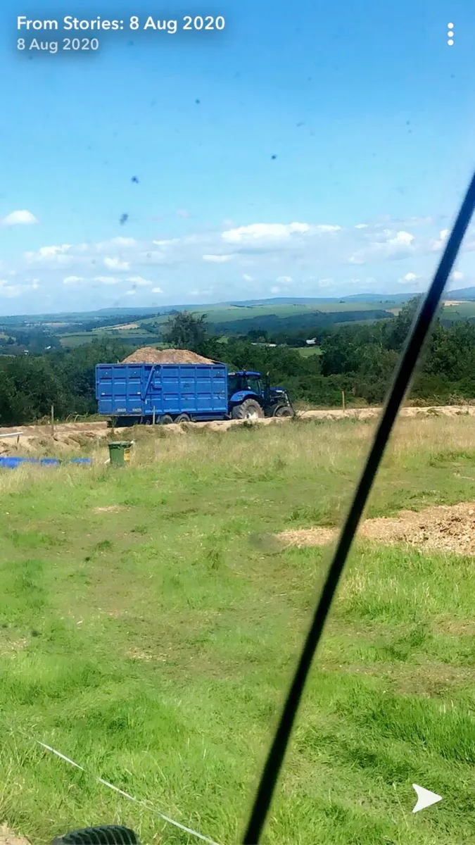 Woodchip - Image 1