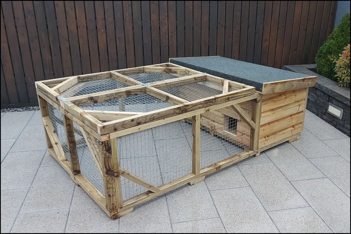 Rabbit Enclosure - Image 3