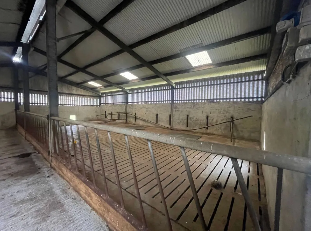 Farmyard and Slatted Sheds to rent at Rosocommon - Image 2