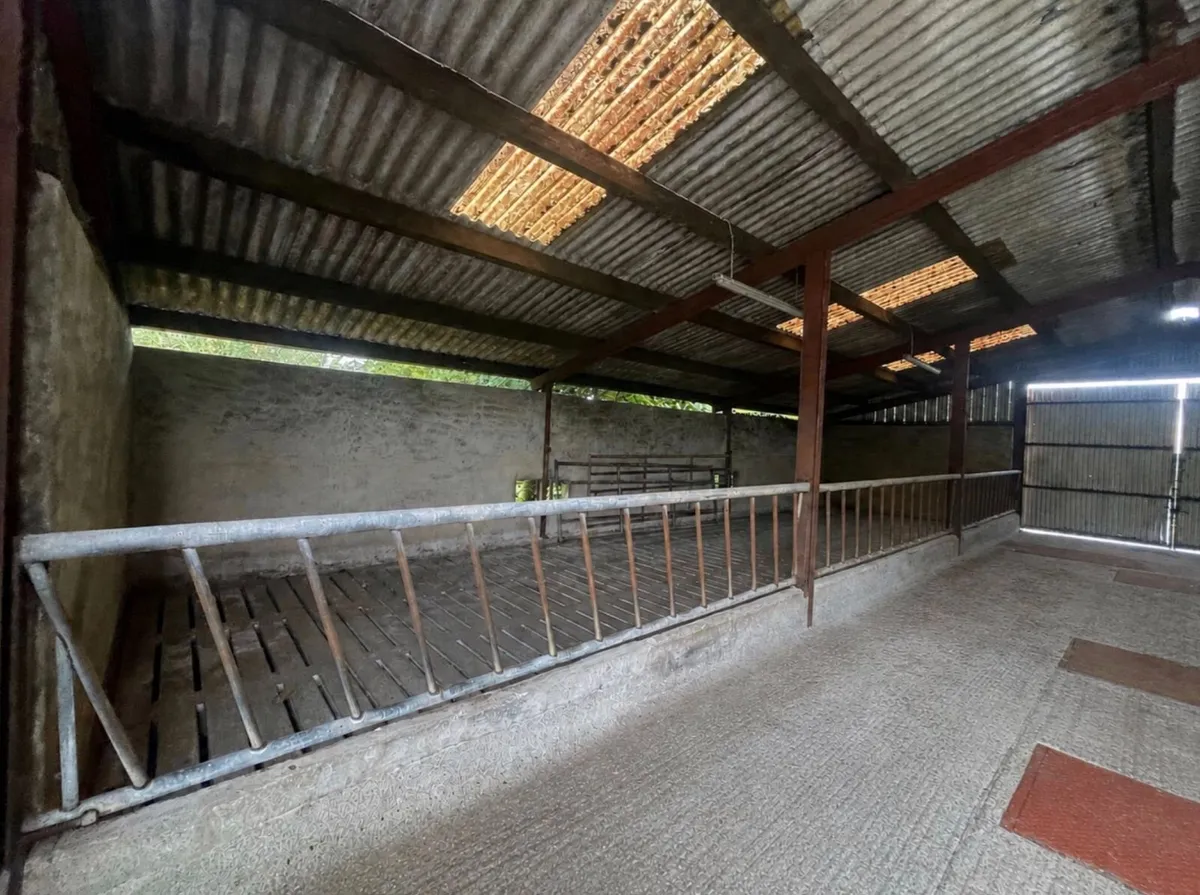 Farmyard and Slatted Sheds to rent at Rosocommon - Image 3
