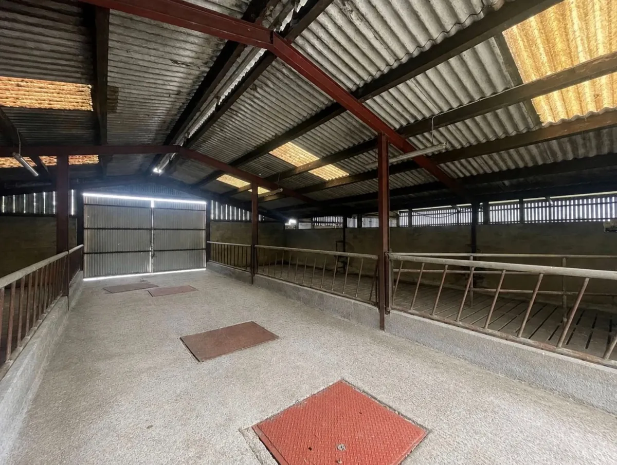 Farmyard and Slatted Sheds to rent at Rosocommon - Image 4