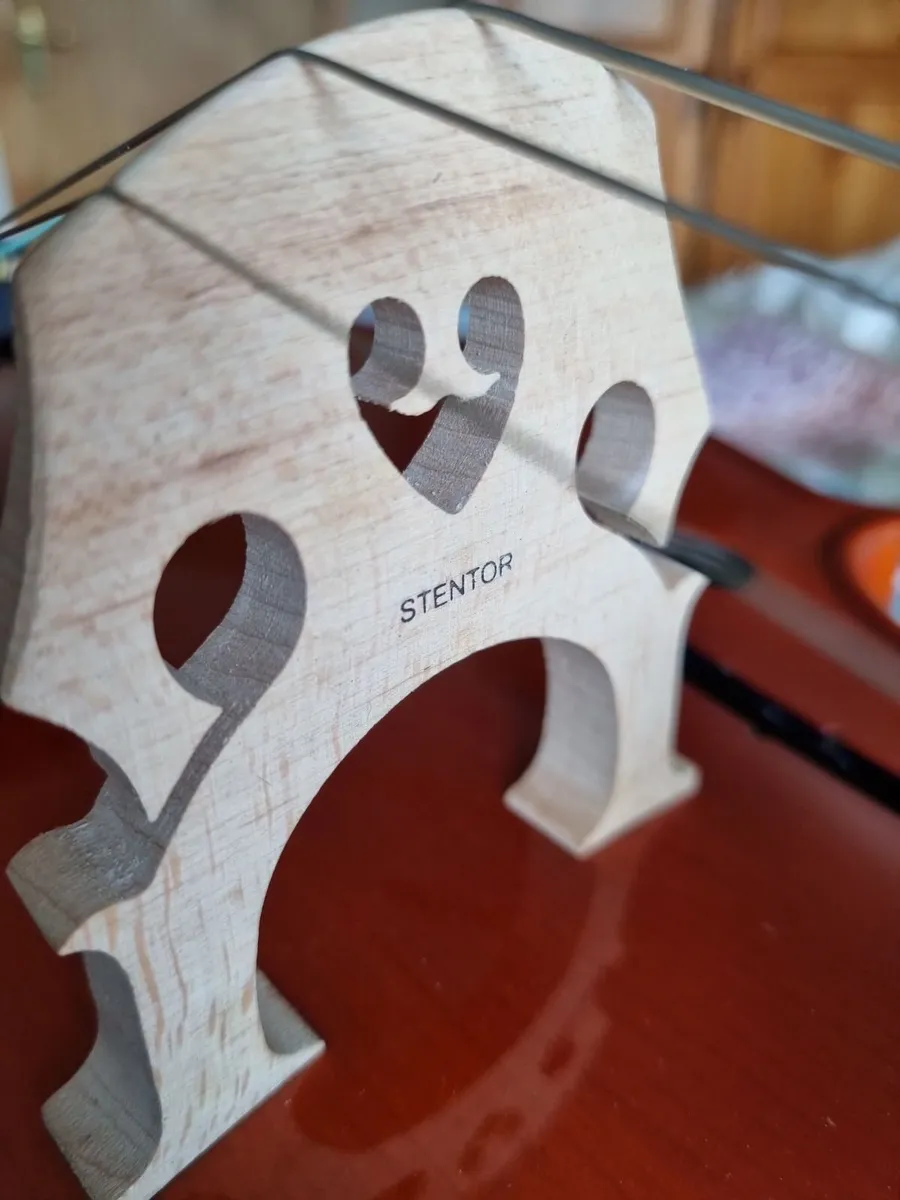 Cello  Stentor 3/4 Student 1 - Image 2