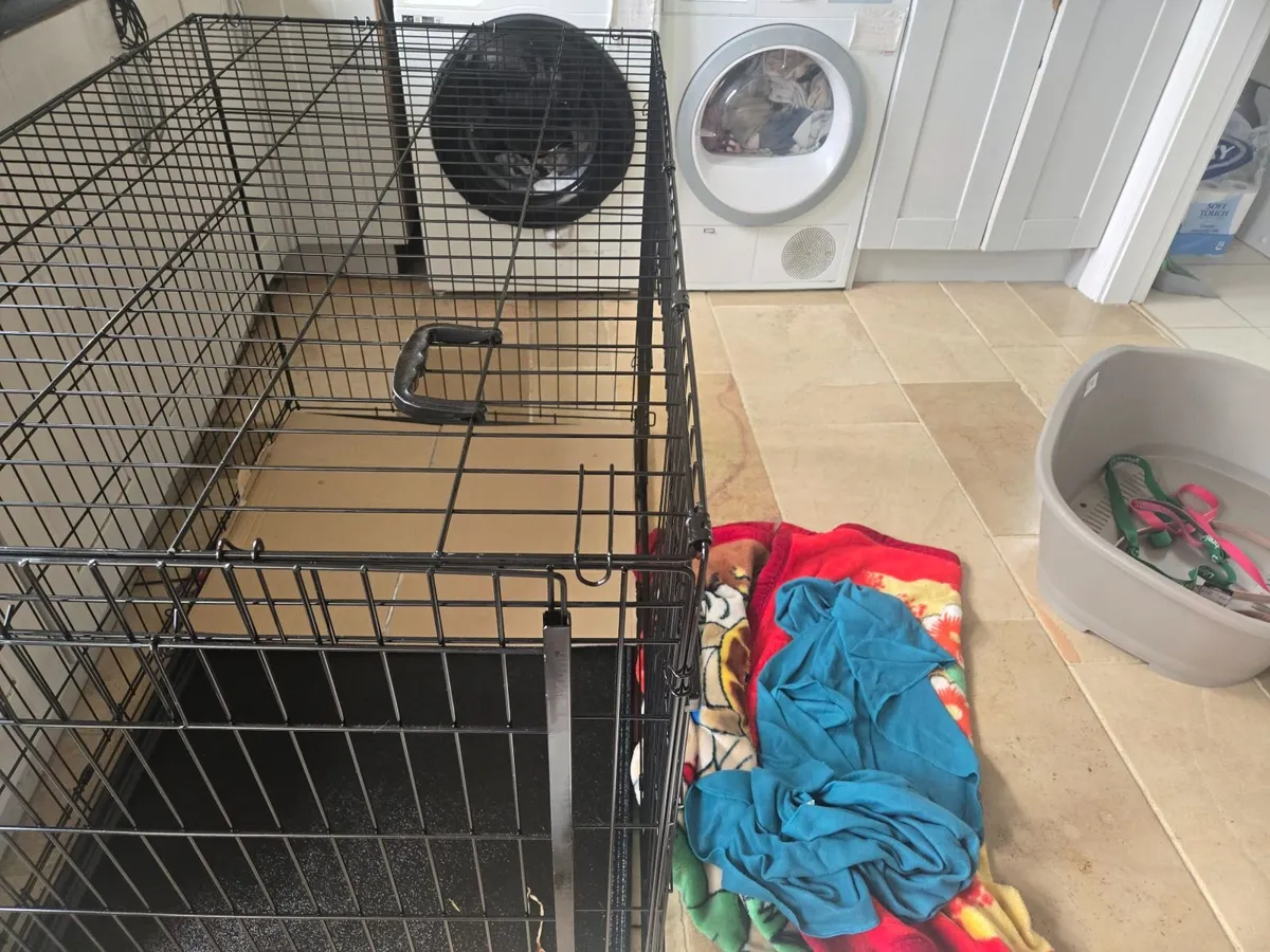Dog crate - Image 2