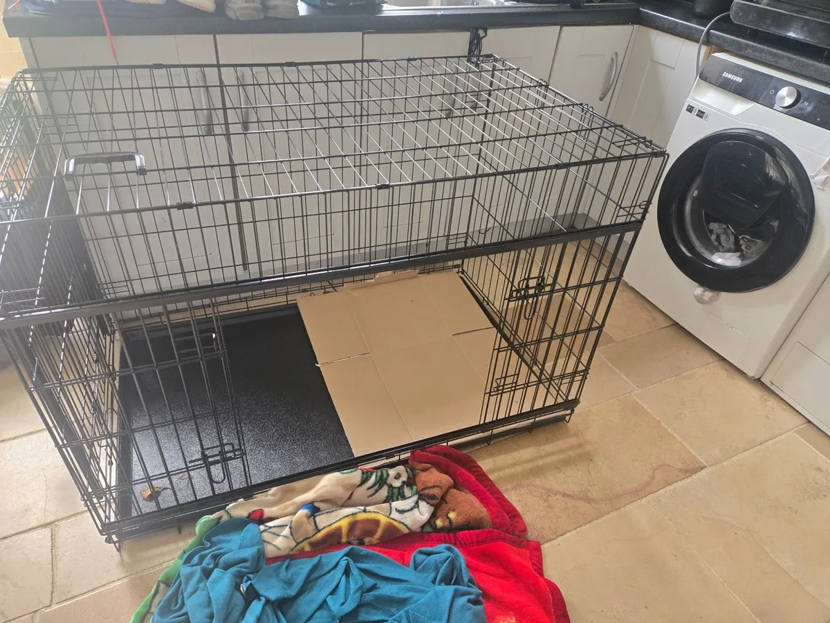 Dog crate - Image 4