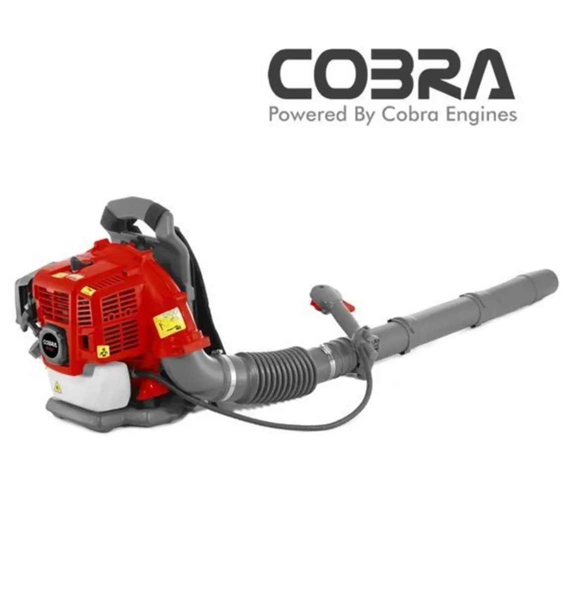 43cc Petrol Backpack Blower - Image 1