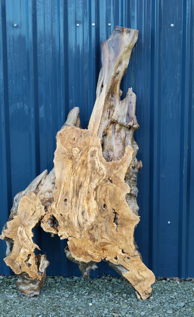 Deep pour Resin - Olive Wood & Black Walnut slab - Image 4
