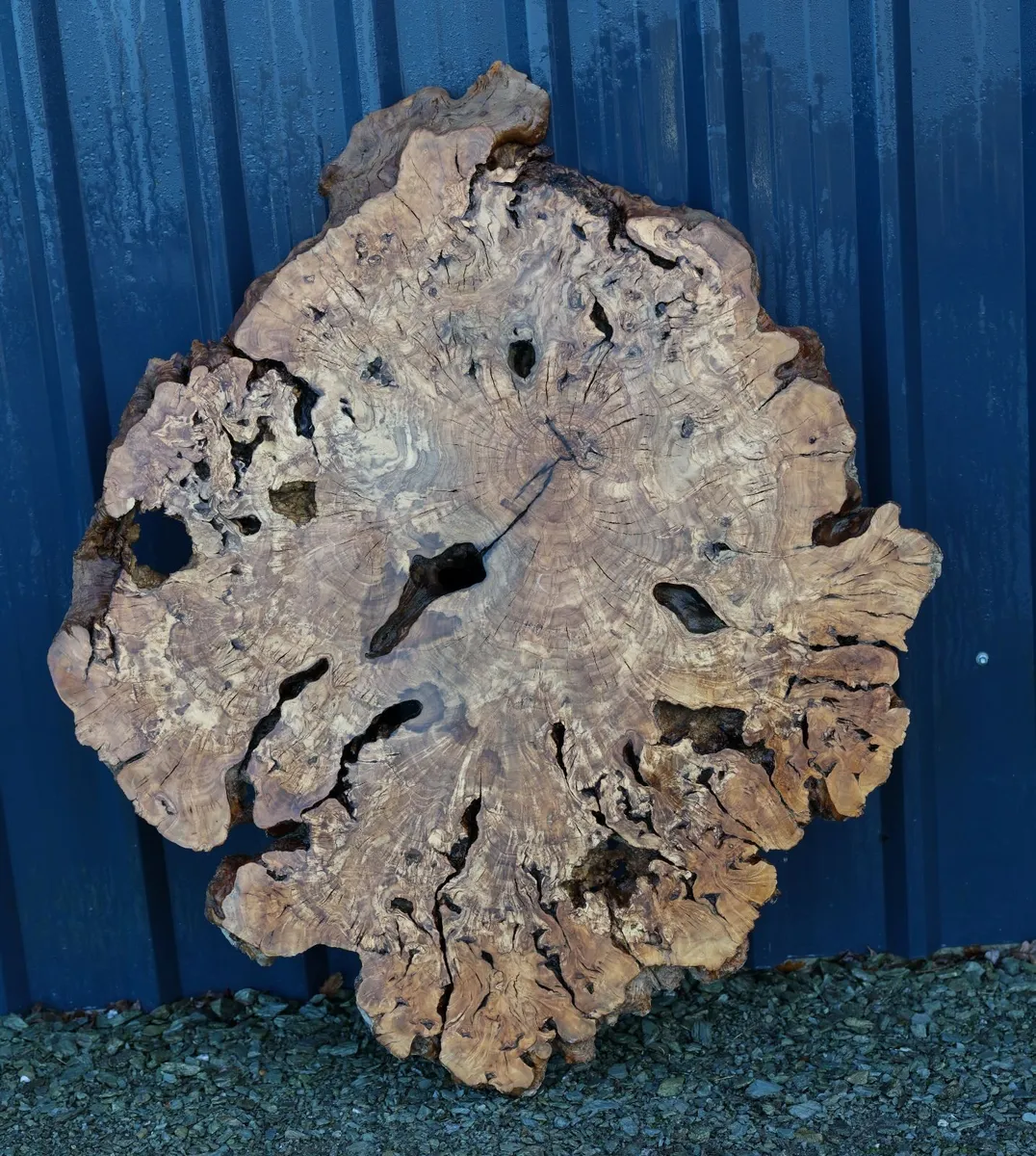 Deep pour Resin - Olive Wood & Black Walnut slab - Image 1
