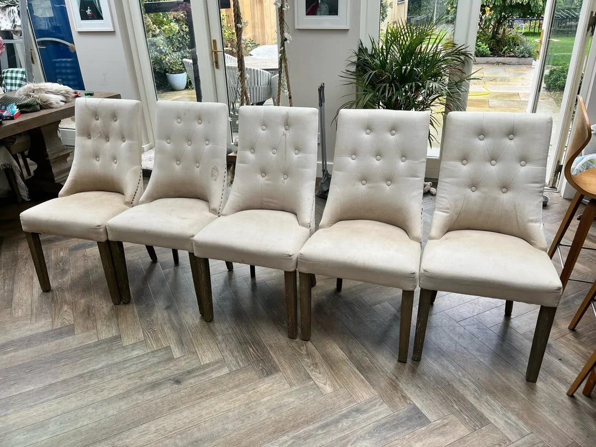 dining chairs - Image 1