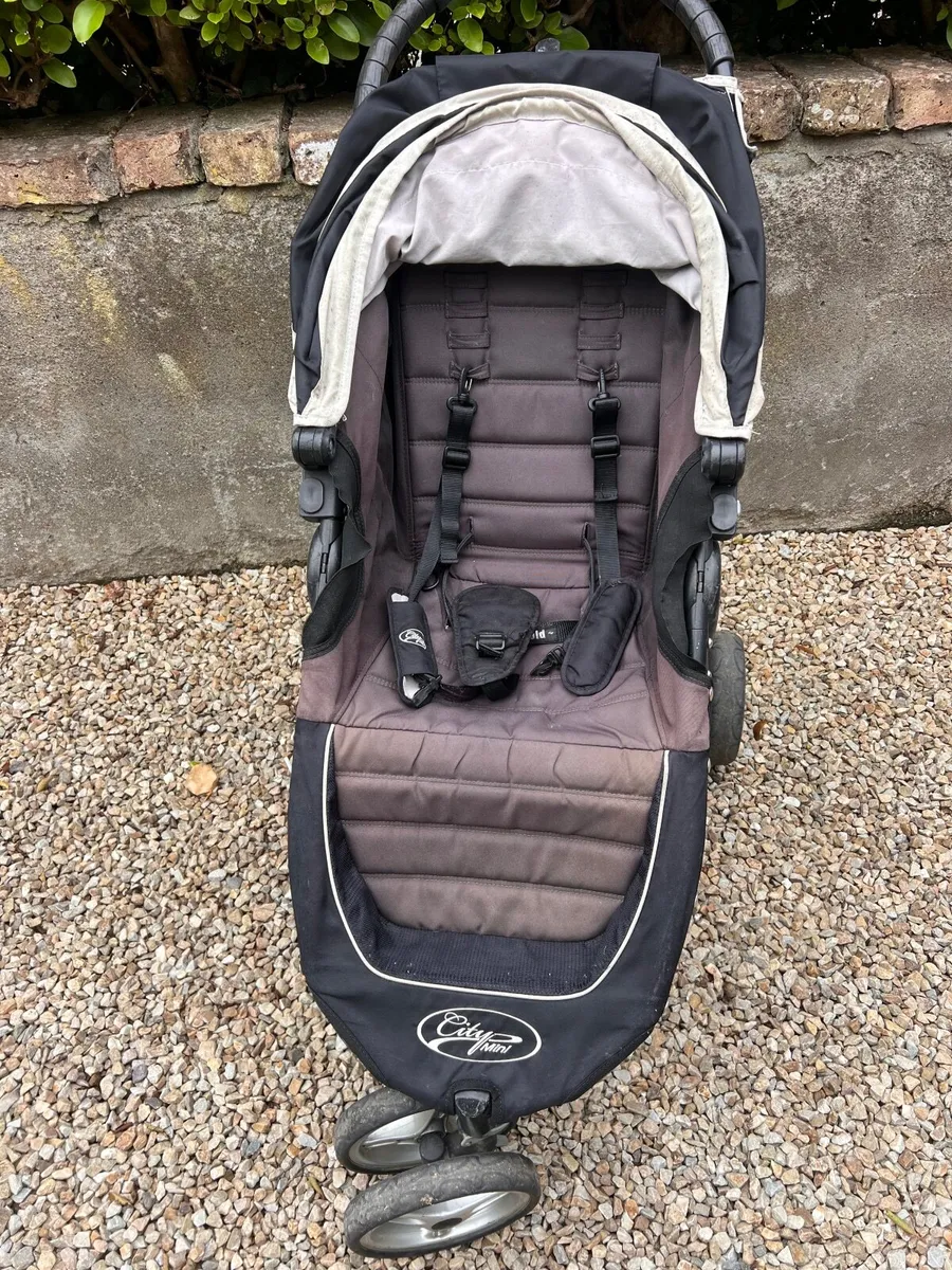 Buggy - Image 4
