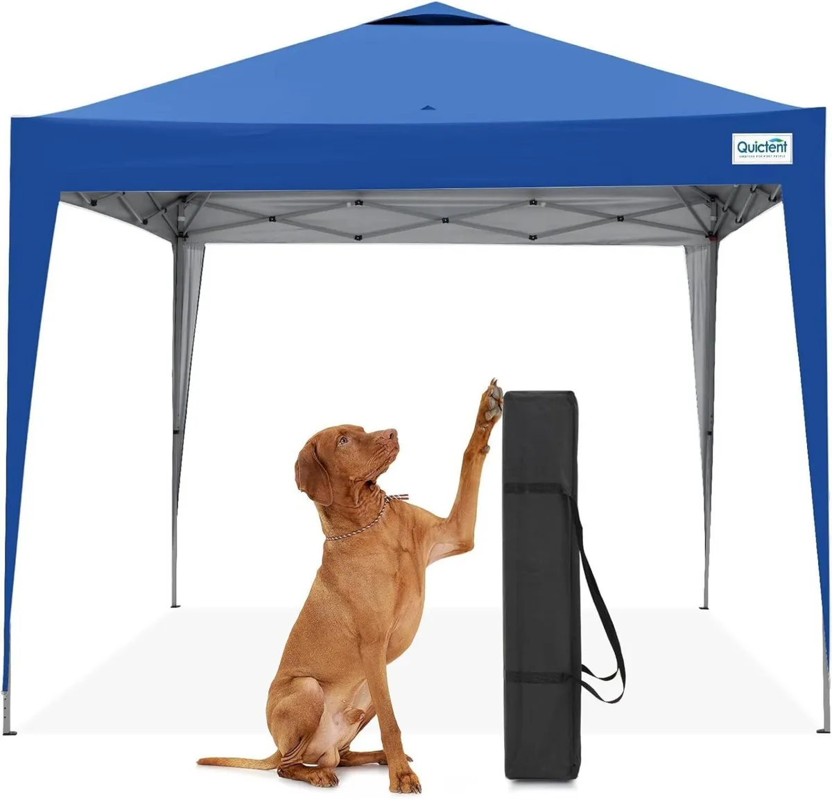 Pop Up Canopy Portable Waterproof Gazebo - Image 1