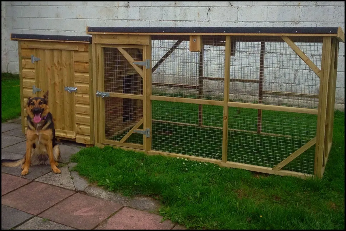 Dog Kennel & Enclosures - Image 4