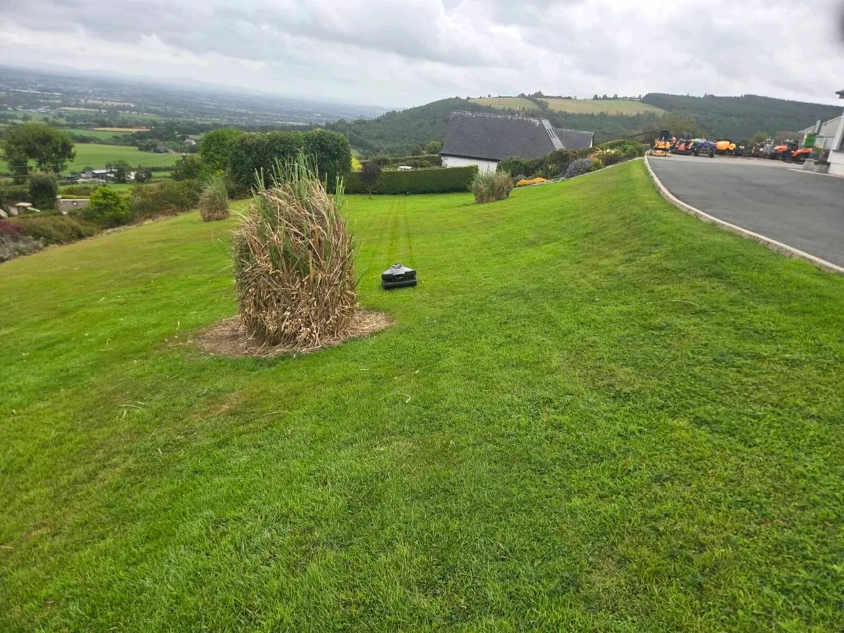 Robrock lawnmower for sale - Image 2