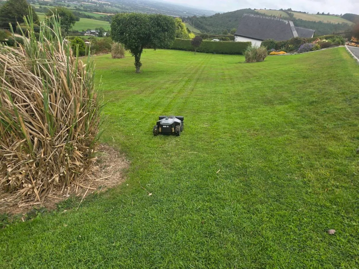 Robrock lawnmower for sale - Image 3