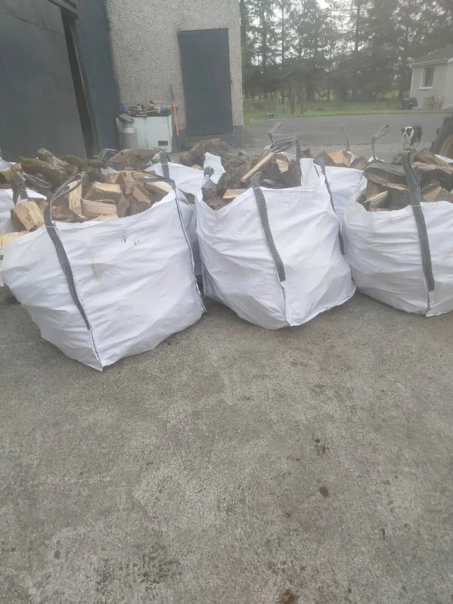 Firewood - Image 2