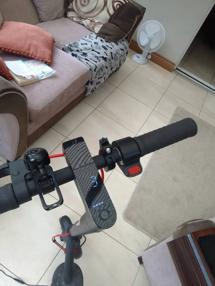 Scooter - Image 4