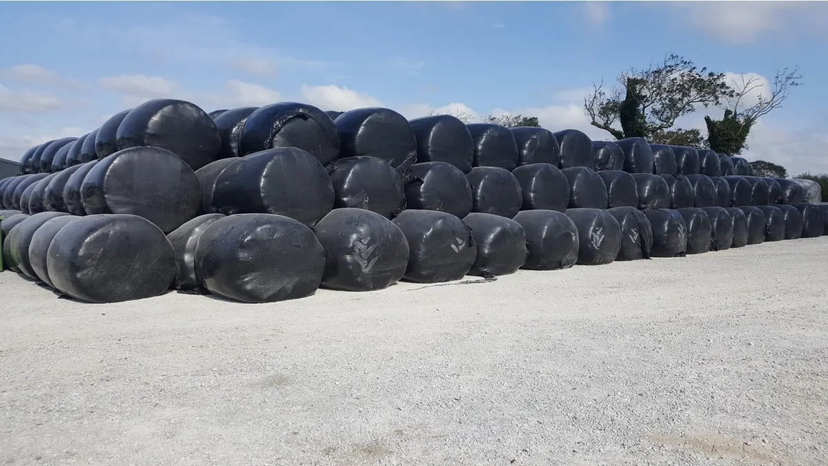 Silage bale’s suitable for milking cows - Image 1