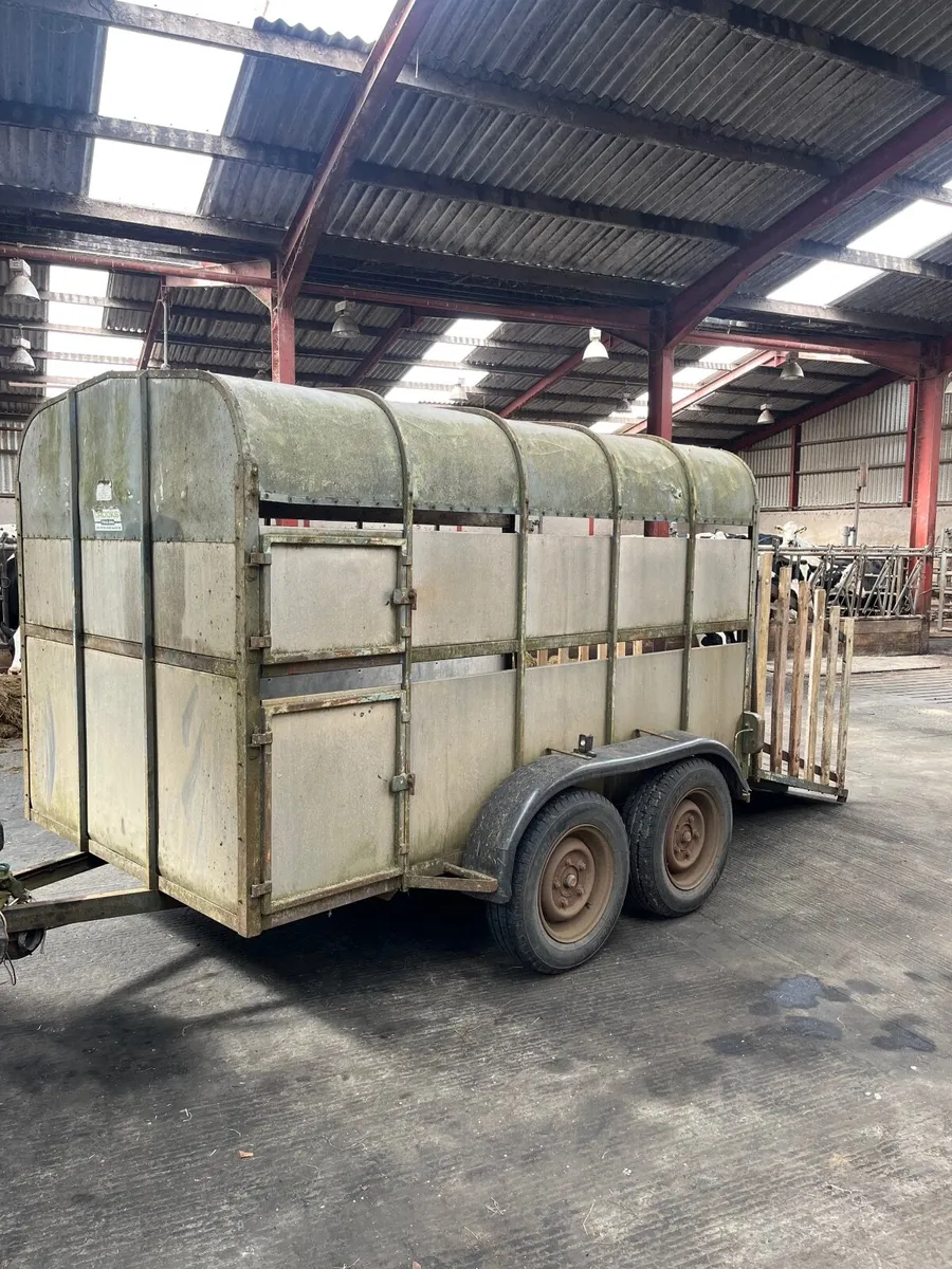 Cattle Trailer - Image 1