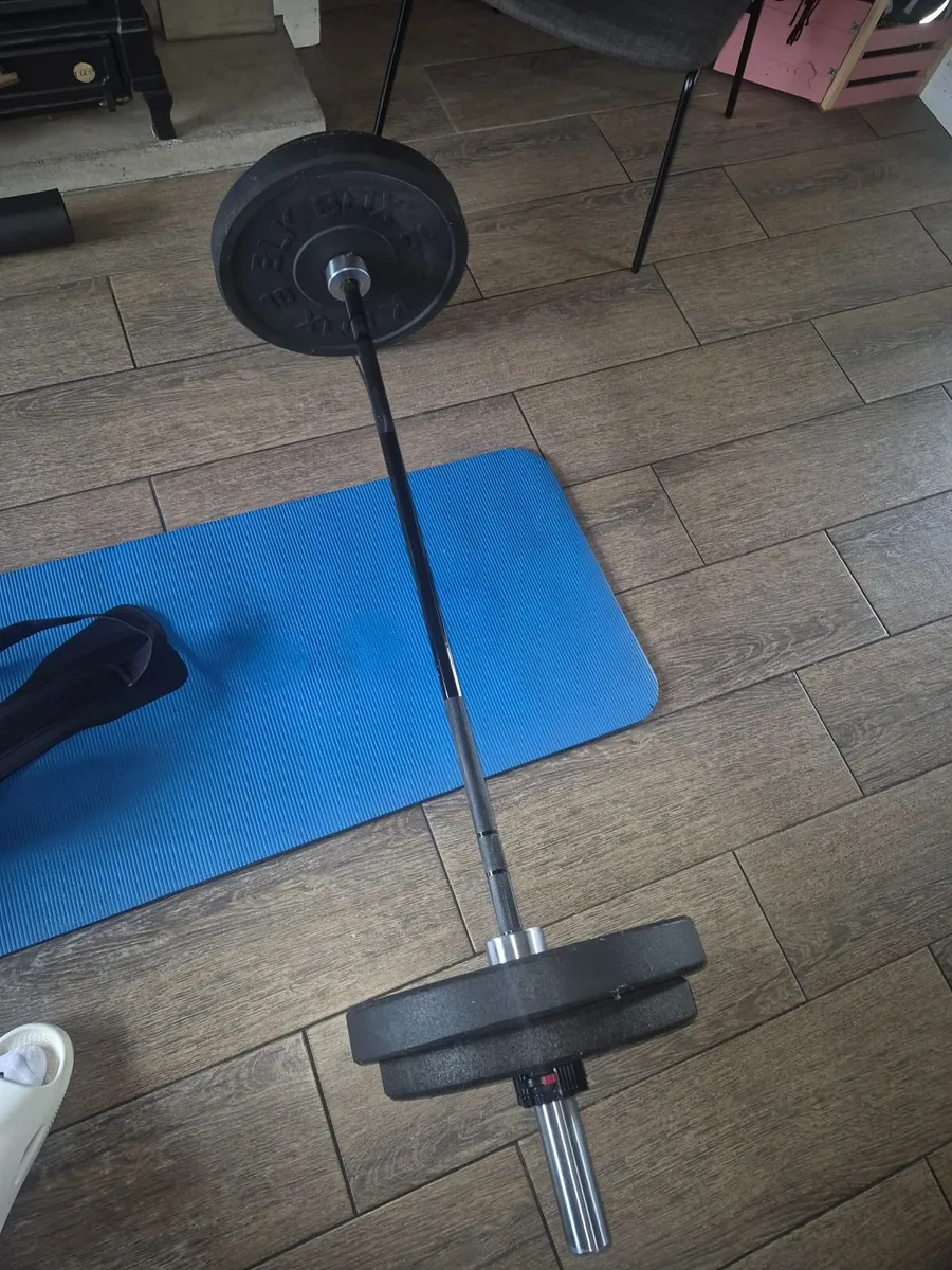 Barbell and plates - Image 1