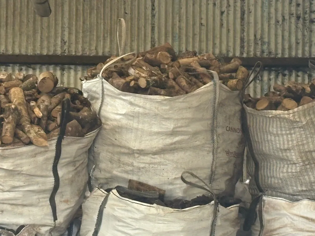 Timber for sale - Image 3