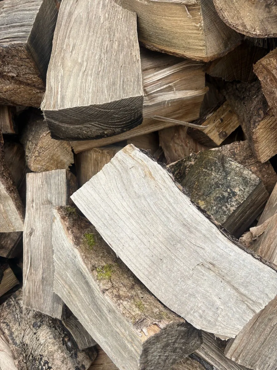 Timber for sale - Image 2
