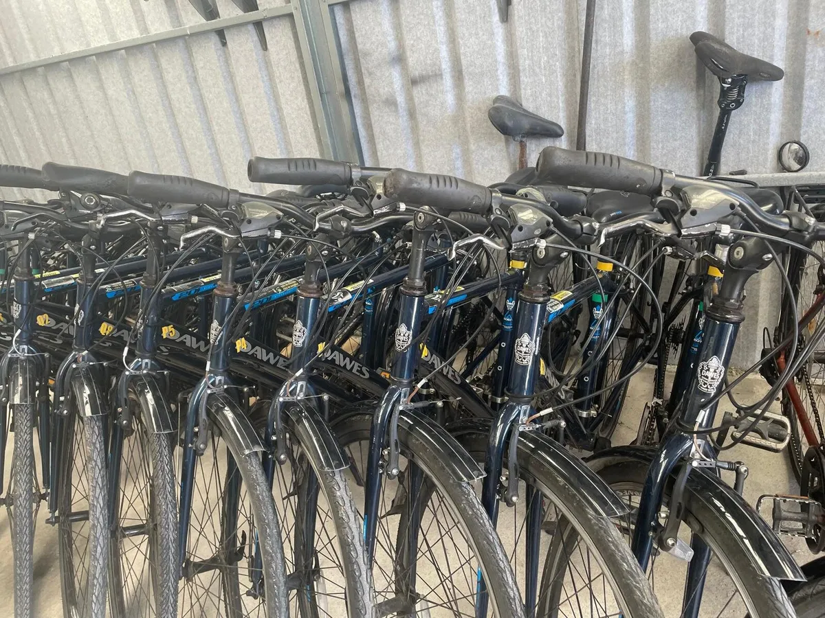 EX RENTAL HYBRID ADULT BIKES - Image 3