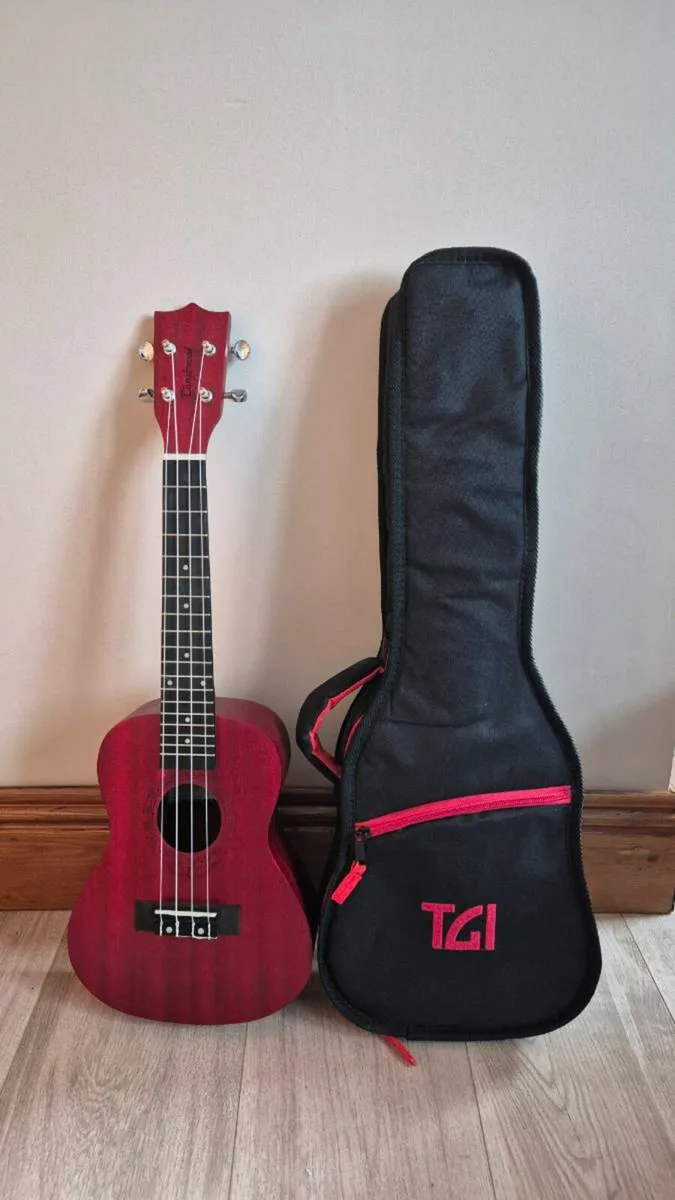 Brand New Ukulele and Cover - Image 1