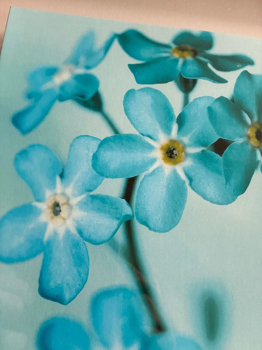3D Floral  Picture - Image 2