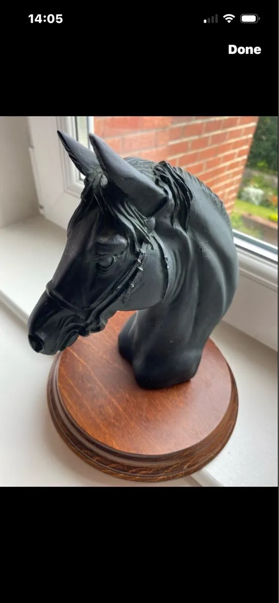 Horse Head Display - Image 1