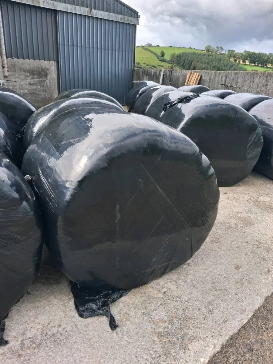 Silage bales