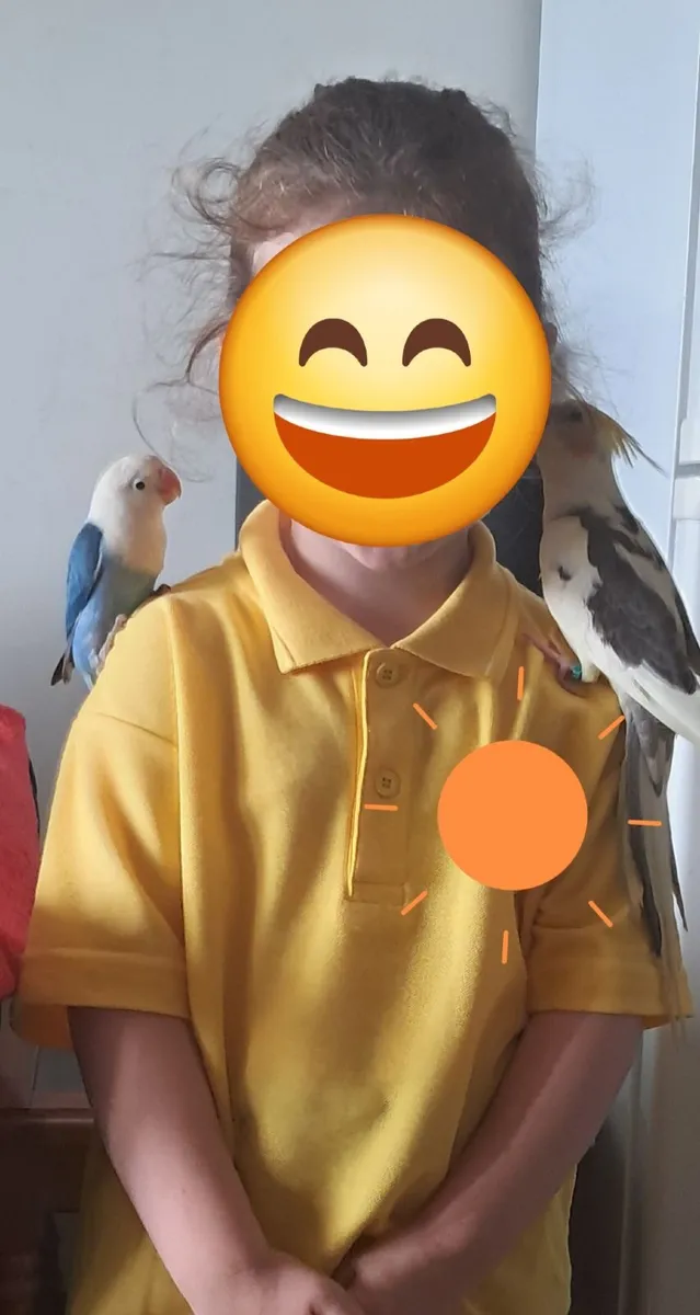 Lovebird Handrared - Image 2