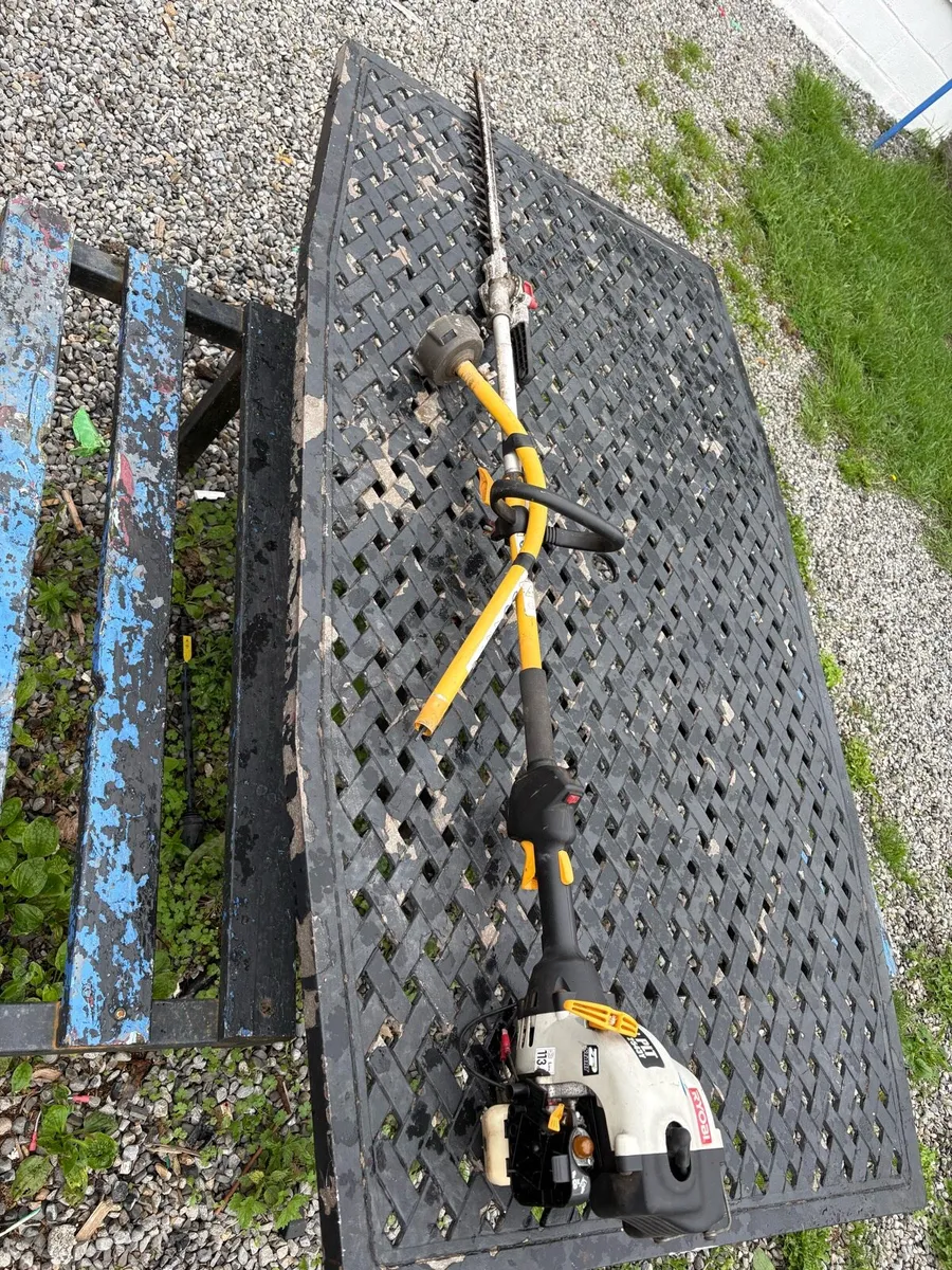 Ryobi hedge cutter need carburettor cleaned - Image 1