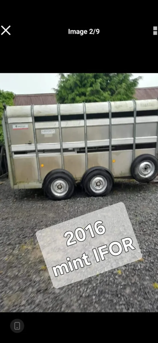16Iforwilliams 12by6 cattle trailercall 0868782672 - Image 1