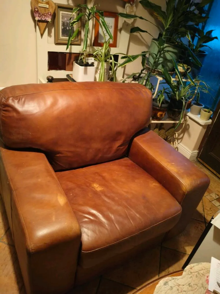 Real brown leather armchair featuring thick,  cush - Image 2