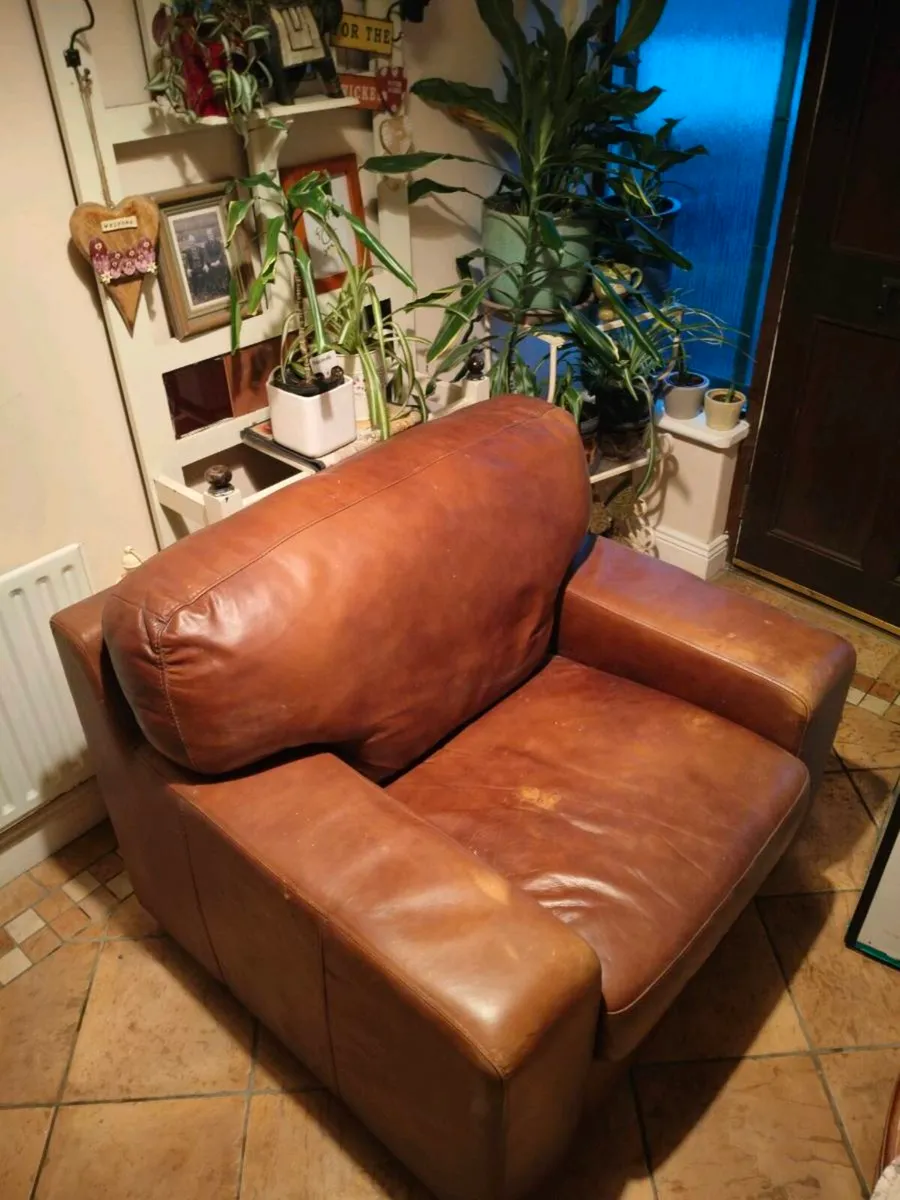 Real brown leather armchair featuring thick,  cush - Image 3