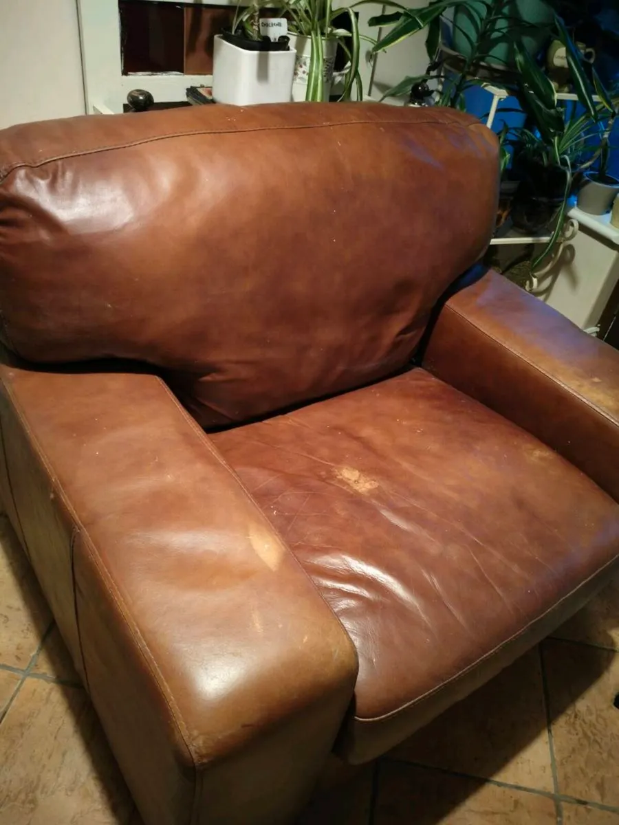 Real brown leather armchair featuring thick,  cush - Image 4