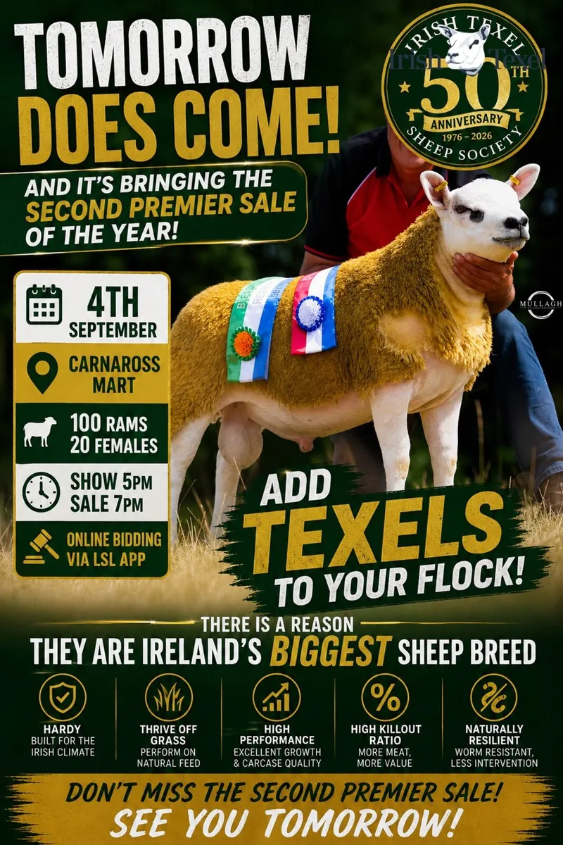 Texel Sale