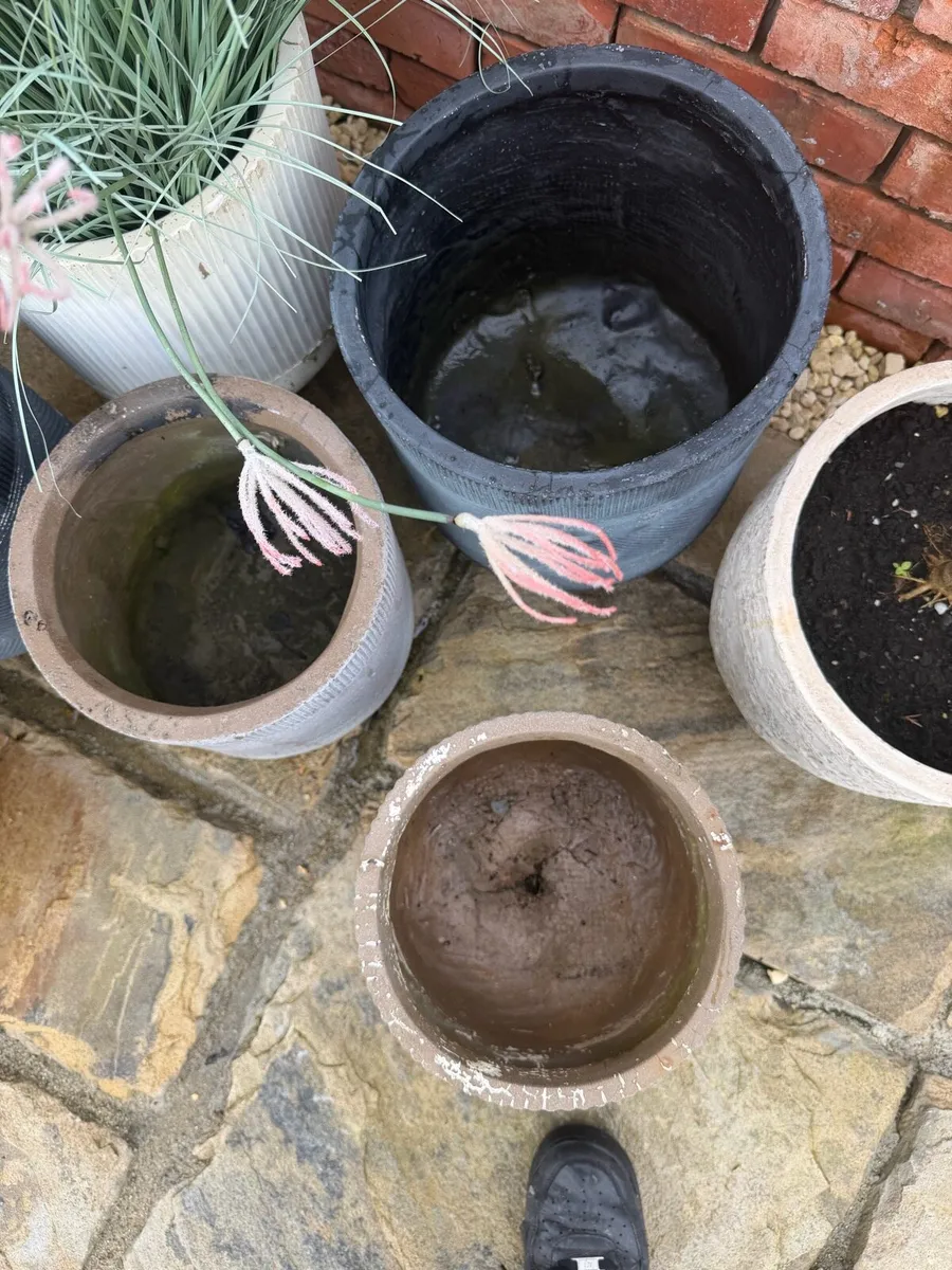 Garden pots - Image 3