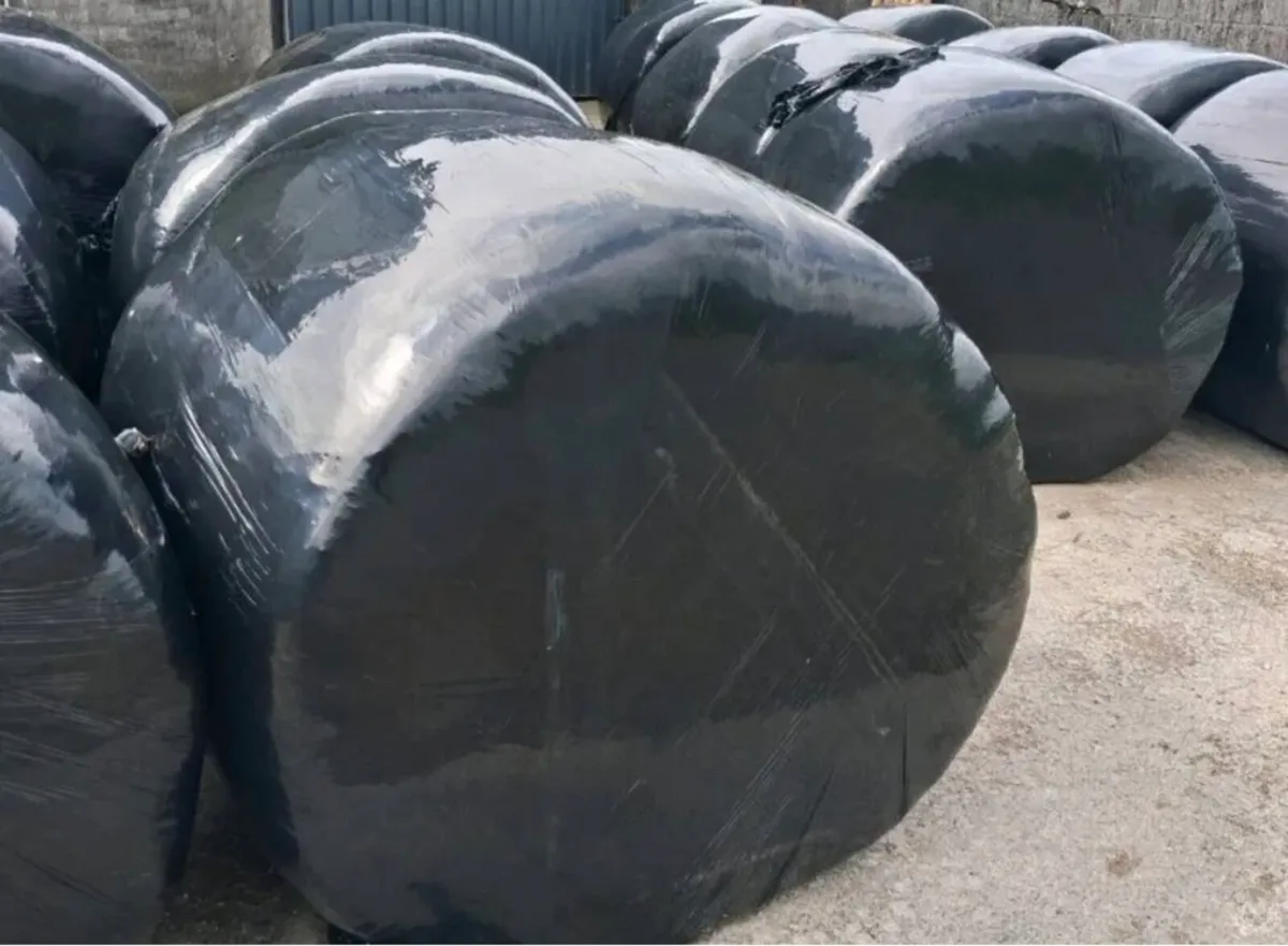 Silage Bales
