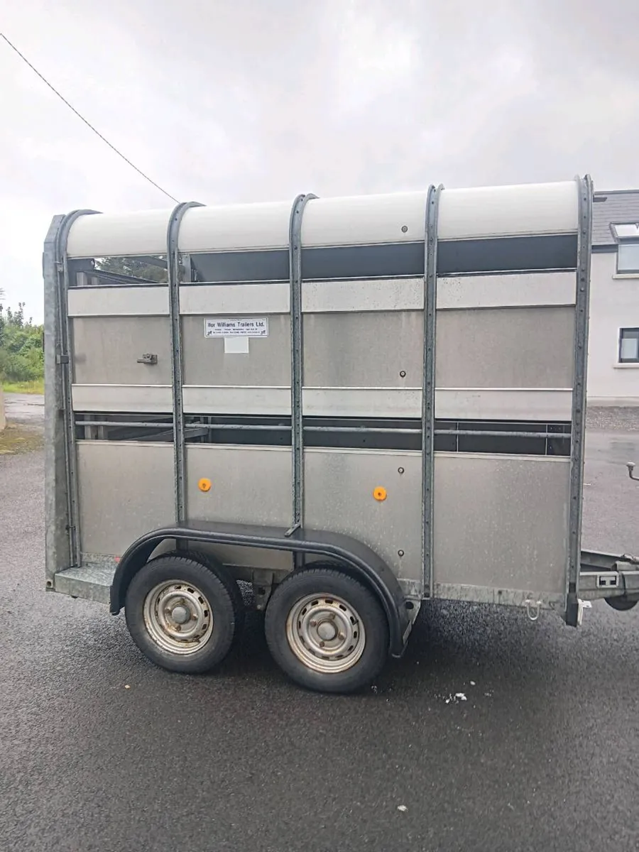 Ifor Williams 8x5 - Image 2