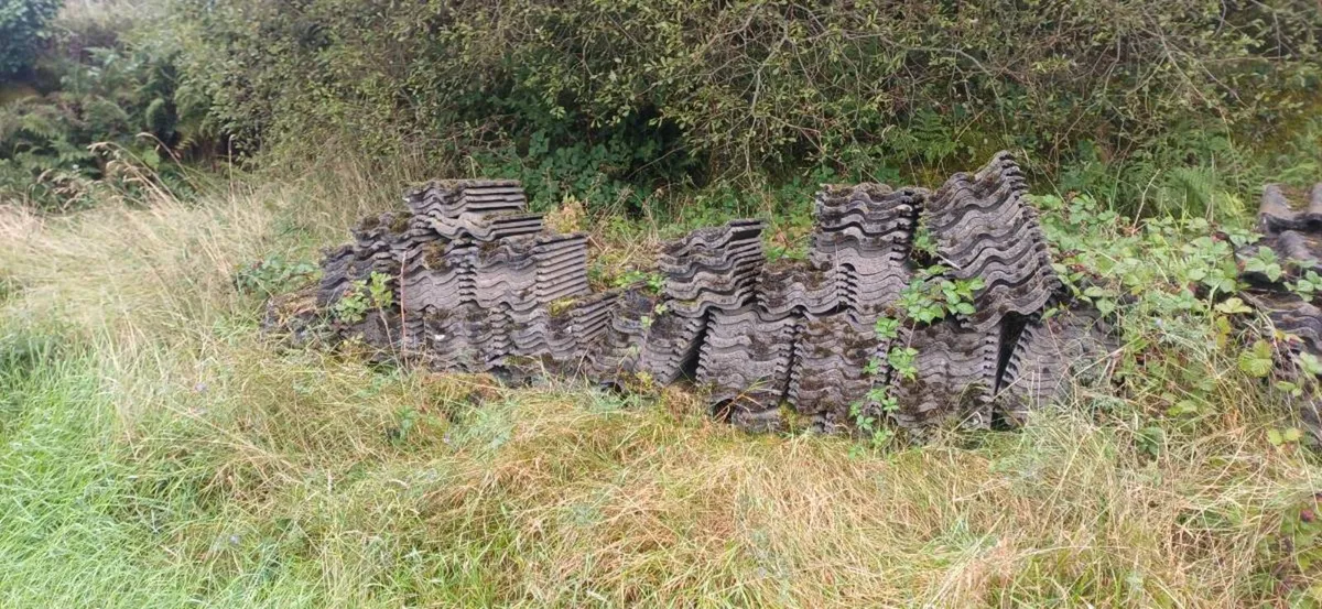 Roof  Tiles - Image 1